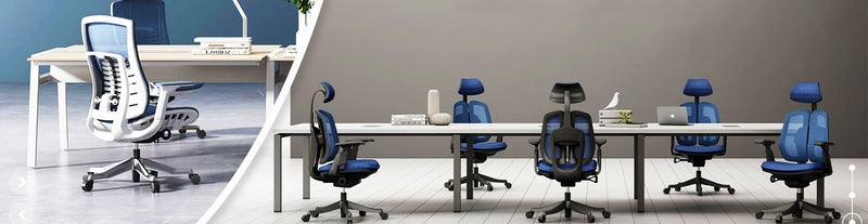 Office Chairs - Anzhap