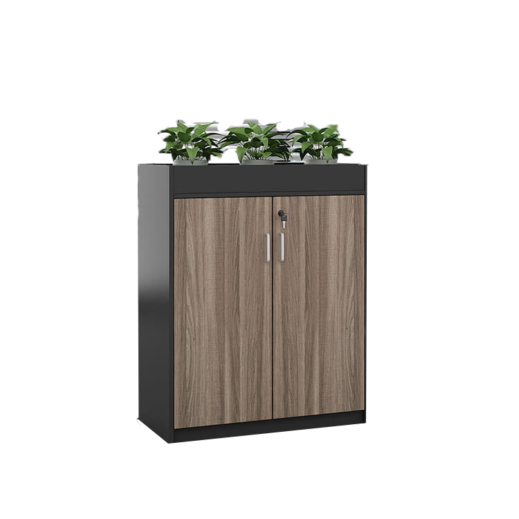 Office Partition Cabinet with Simple Modern Planter Low Cabinet