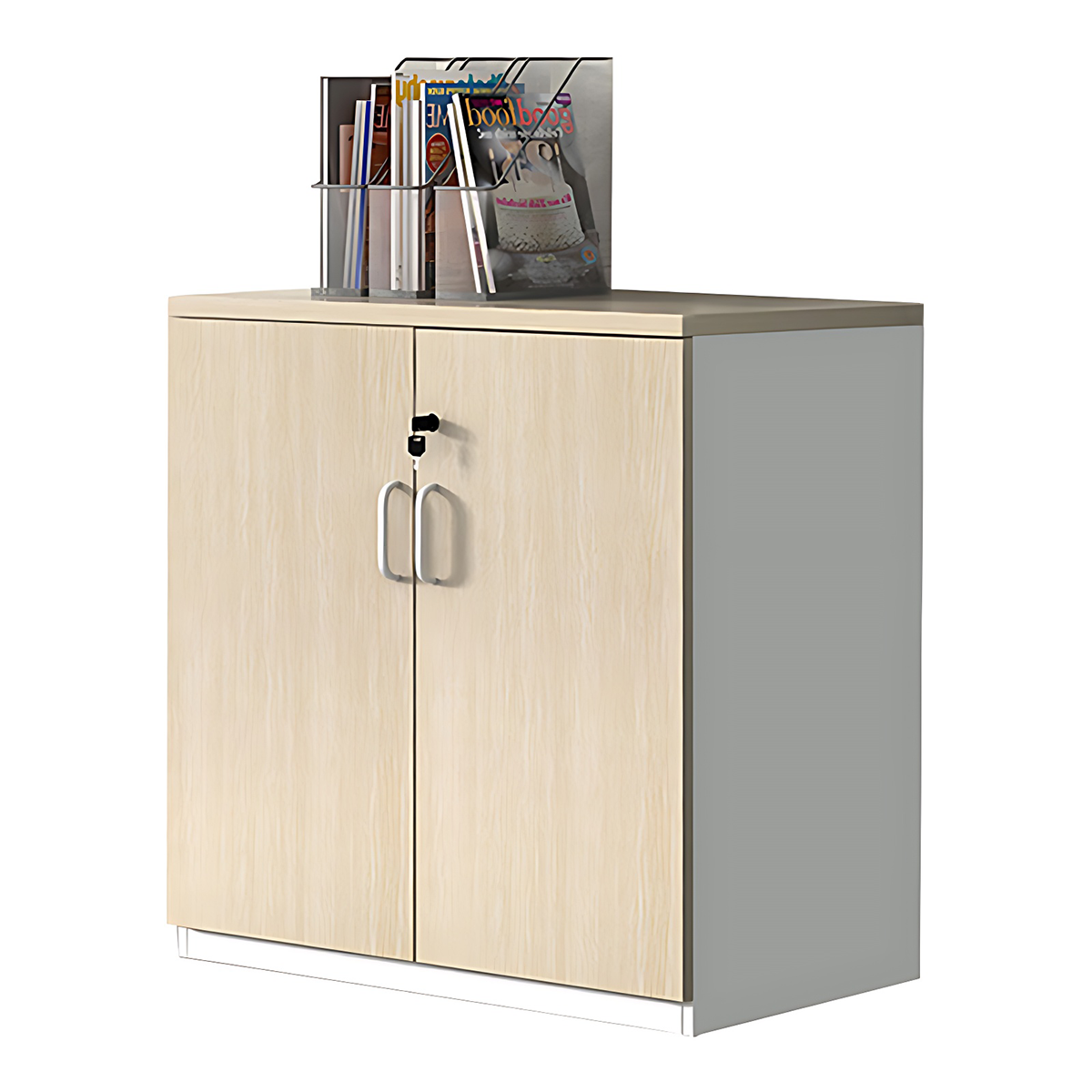 Minimalist Functional Storage Cabinet with Shelves and Drawers