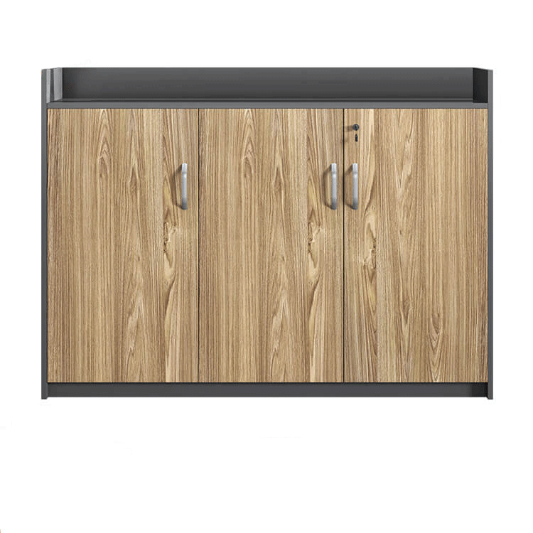 Office Furniture Panel File Storage Cabinet, Low Cabinet