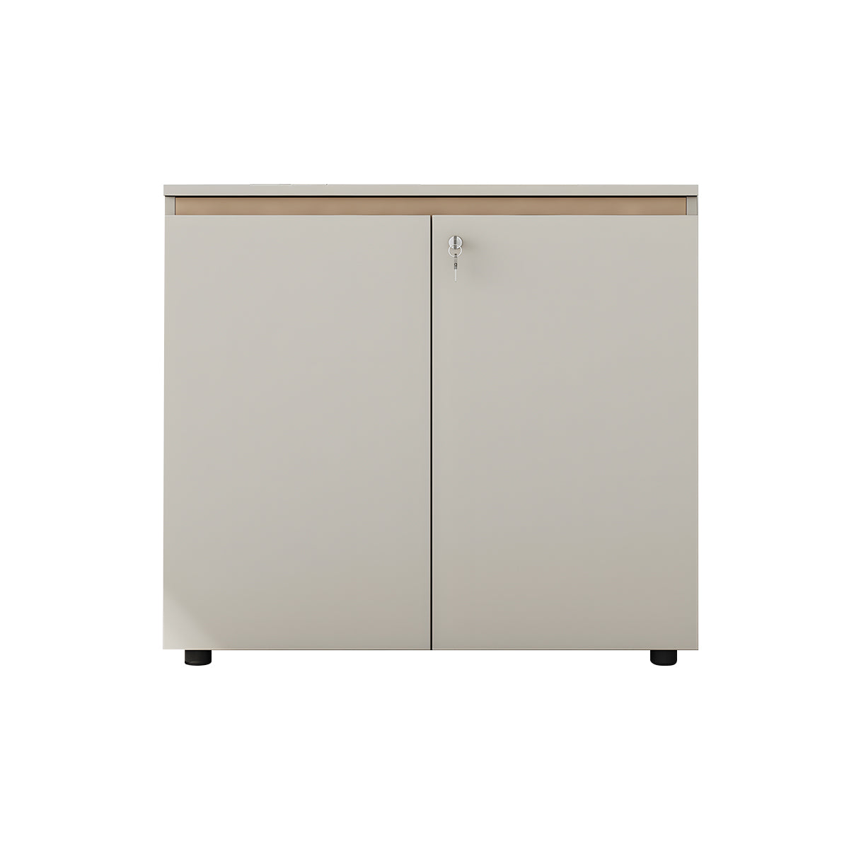 Practical Storage Cabinet with Key-Locked Doors