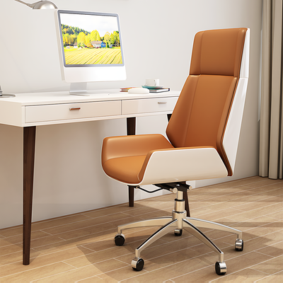 Modern Executive Chair Office Chair with Backrest