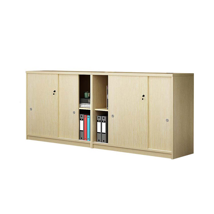 Office File Cabinet, Low Cabinet, Storage Cabinet