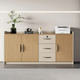 Low Profile Filing Cabinets for Office Use Storage Cabinets