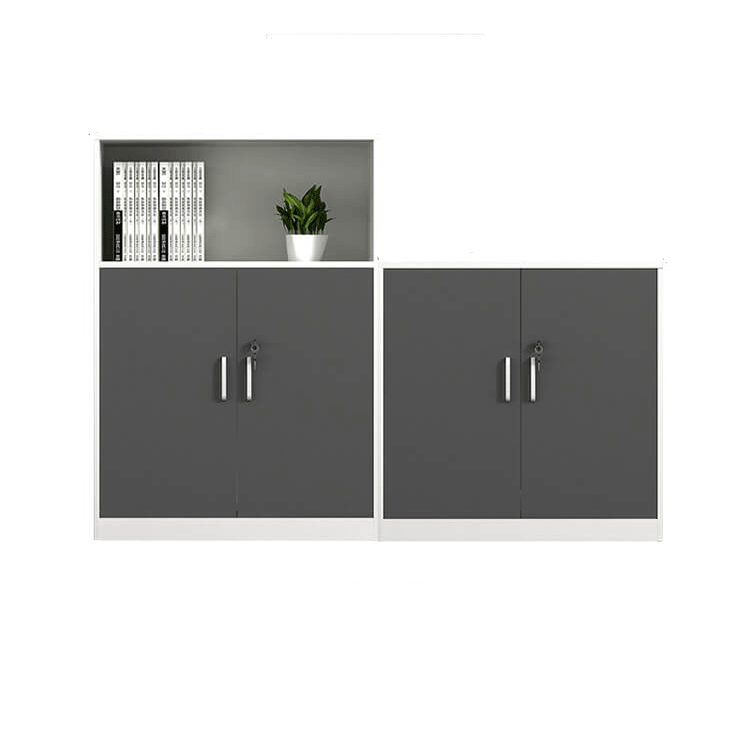 Storage and Organization Cabinet for Office Files and Documents