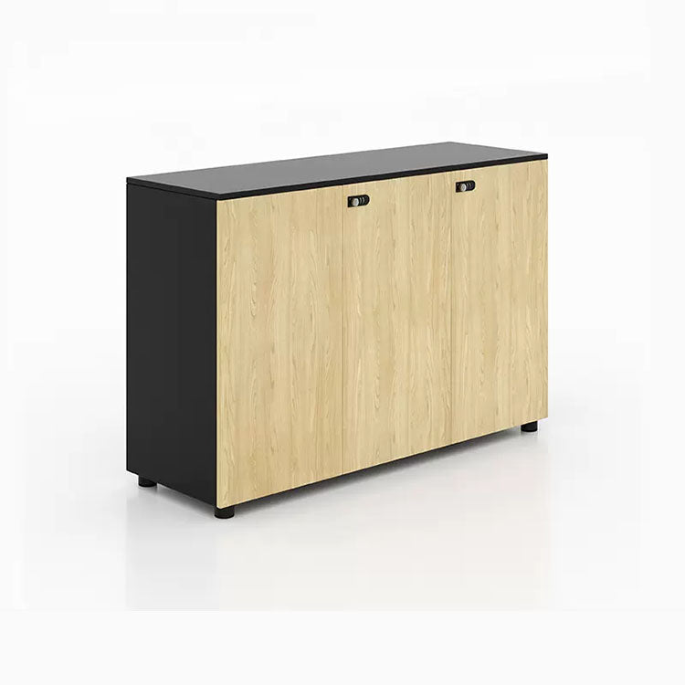 Wooden partitioned file cabinet with combination lock - Anzhap