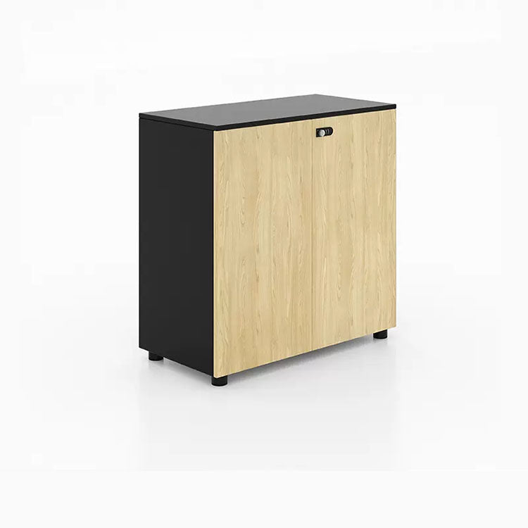 Wooden partitioned file cabinet with combination lock - Anzhap