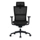 Ergonomic office chair - Anzhap